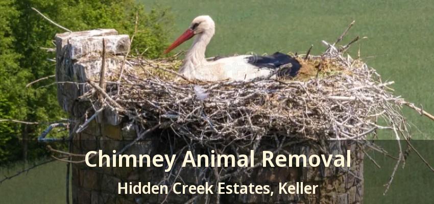 Chimney Animal Removal Hidden Creek Estates, Keller - TX