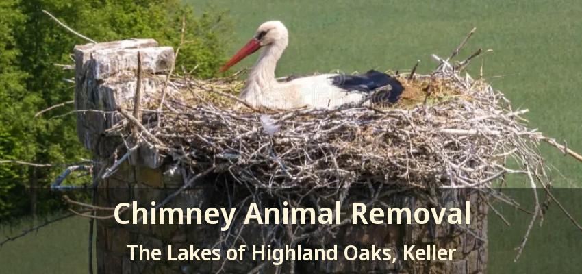 Chimney Animal Removal The Lakes of Highland Oaks, Keller - TX