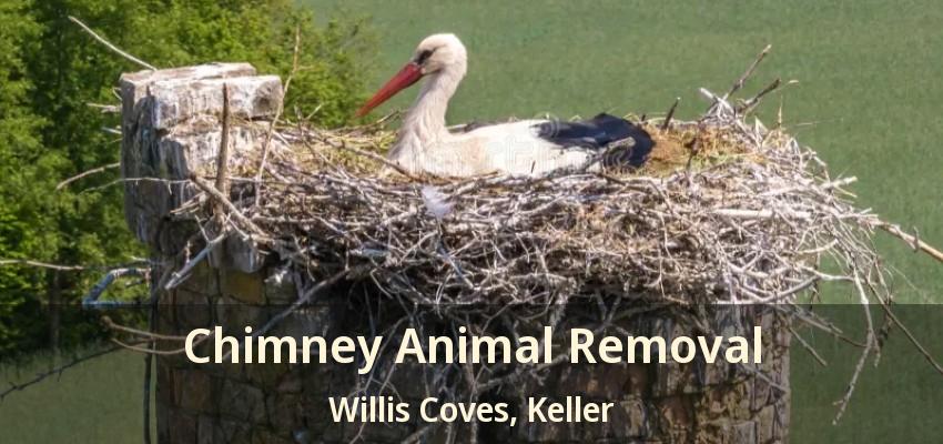Chimney Animal Removal Willis Coves, Keller - TX