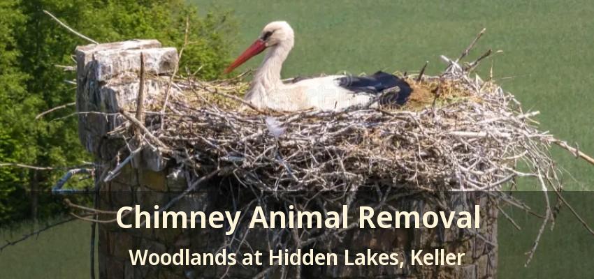 Chimney Animal Removal Woodlands at Hidden Lakes, Keller - TX