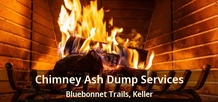 Chimney Ash Dump Services Bluebonnet Trails, Keller - TX