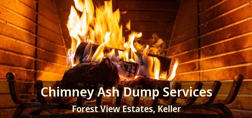 Chimney Ash Dump Services Forest View Estates, Keller - TX