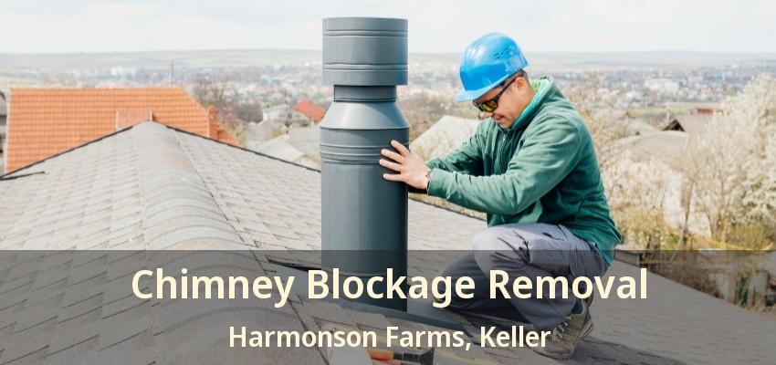Chimney Blockage Removal Harmonson Farms, Keller - TX