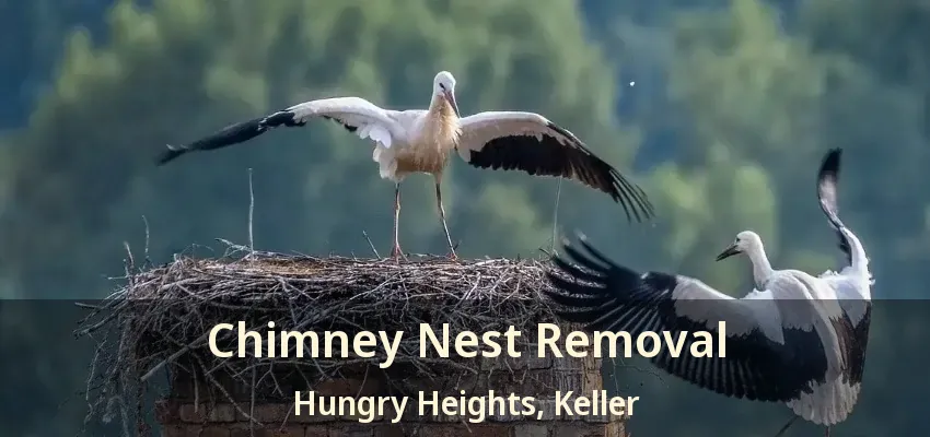 Chimney Nest Removal Hungry Heights, Keller - TX
