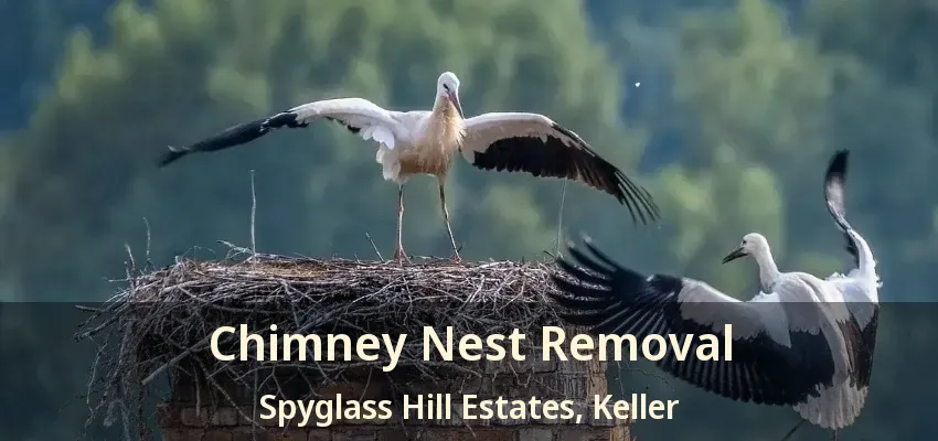 Chimney Nest Removal Spyglass Hill Estates, Keller - TX