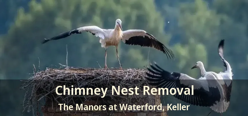 Chimney Nest Removal The Manors at Waterford, Keller - TX