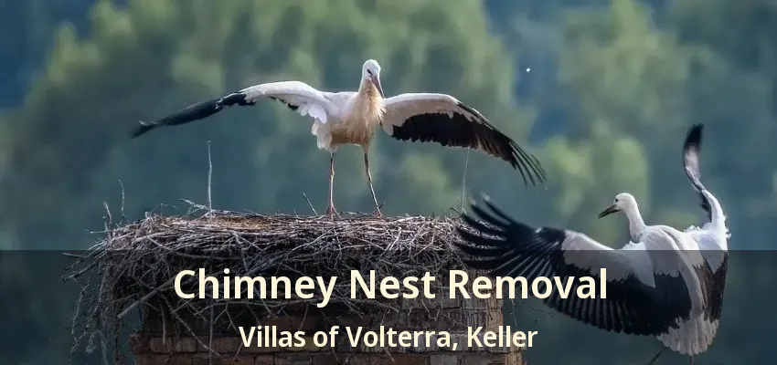 Chimney Nest Removal Villas of Volterra, Keller - TX