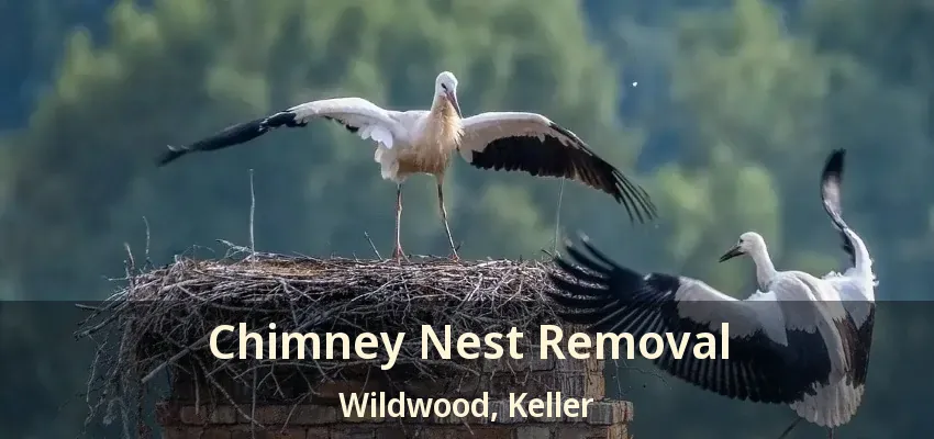 Chimney Nest Removal Wildwood, Keller - TX