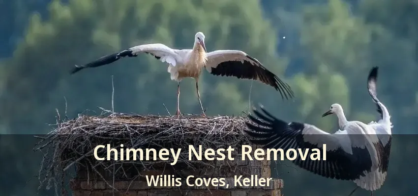 Chimney Nest Removal Willis Coves, Keller - TX