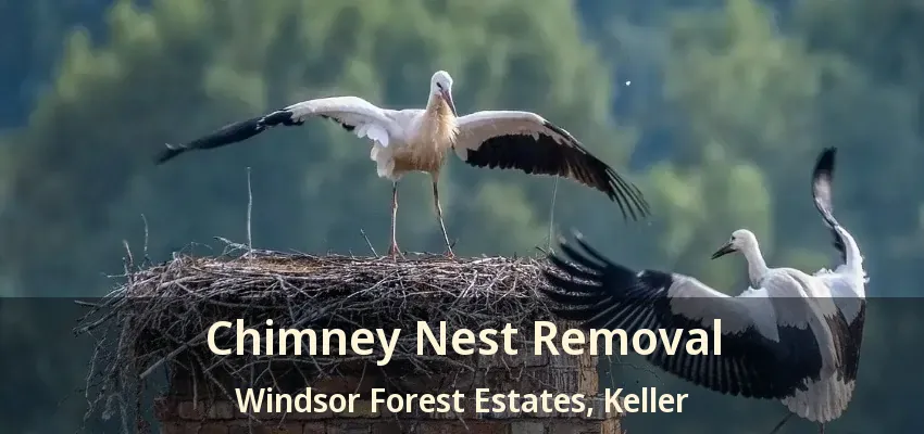 Chimney Nest Removal Windsor Forest Estates, Keller - TX