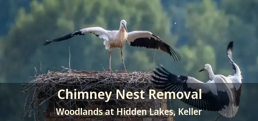 Chimney Nest Removal Woodlands at Hidden Lakes, Keller - TX