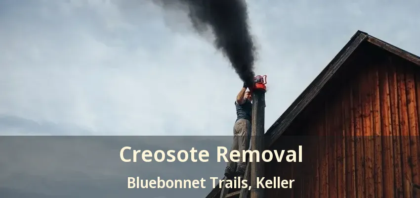 Creosote Removal Bluebonnet Trails, Keller - TX