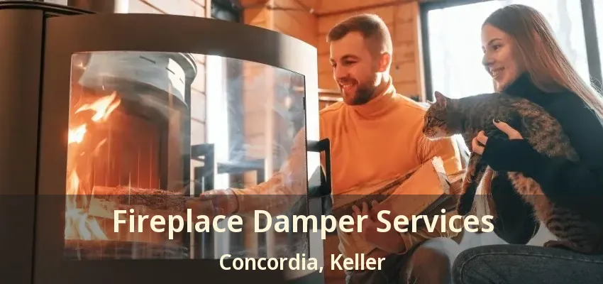 Fireplace Damper Services Concordia, Keller - TX