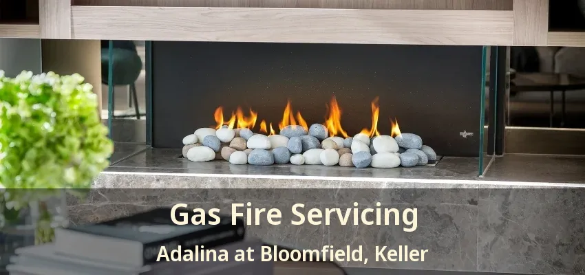 Gas Fire Servicing Adalina at Bloomfield, Keller - TX