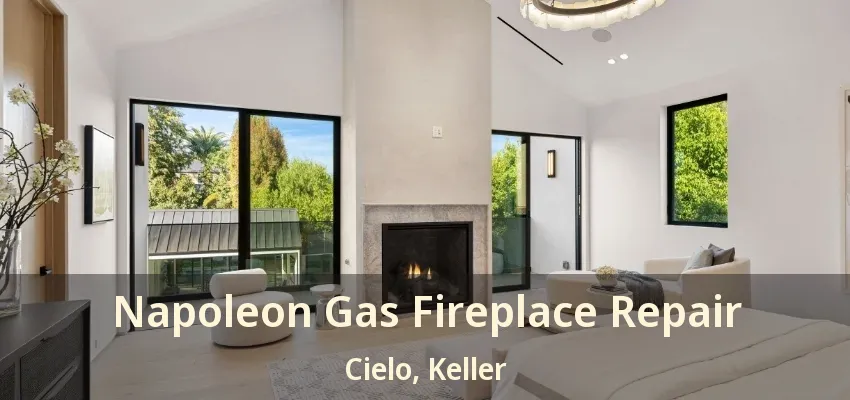 Napoleon Gas Fireplace Repair Cielo, Keller - TX