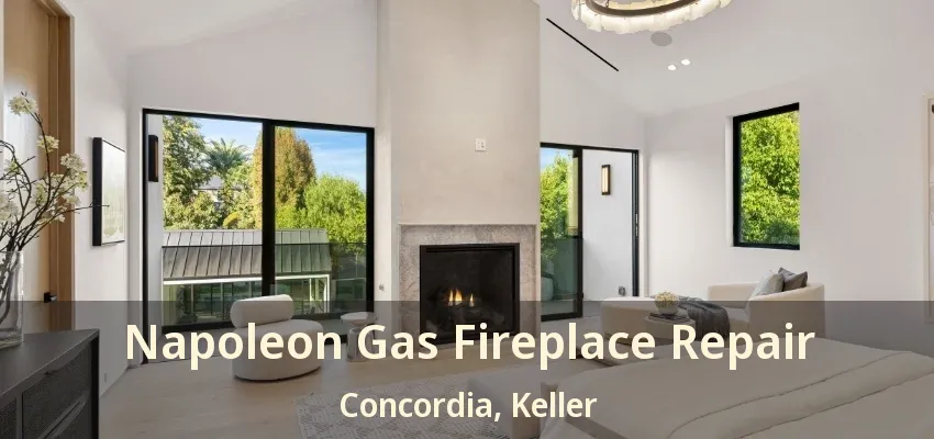 Napoleon Gas Fireplace Repair Concordia, Keller - TX