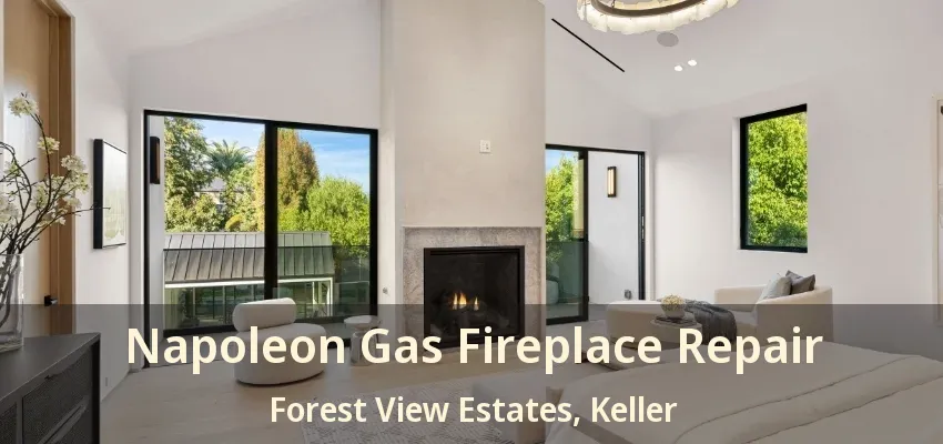 Napoleon Gas Fireplace Repair Forest View Estates, Keller - TX