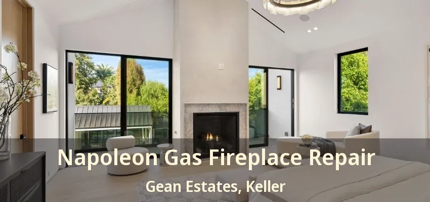 Napoleon Gas Fireplace Repair Gean Estates, Keller - TX