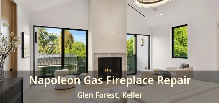 Napoleon Gas Fireplace Repair Glen Forest, Keller - TX