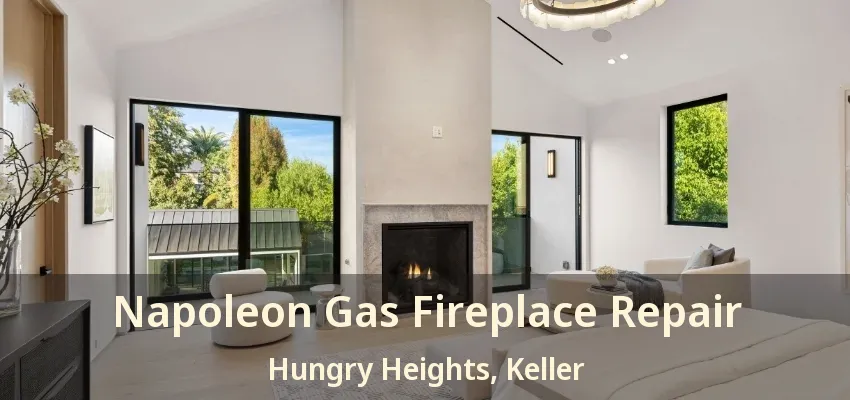 Napoleon Gas Fireplace Repair Hungry Heights, Keller - TX