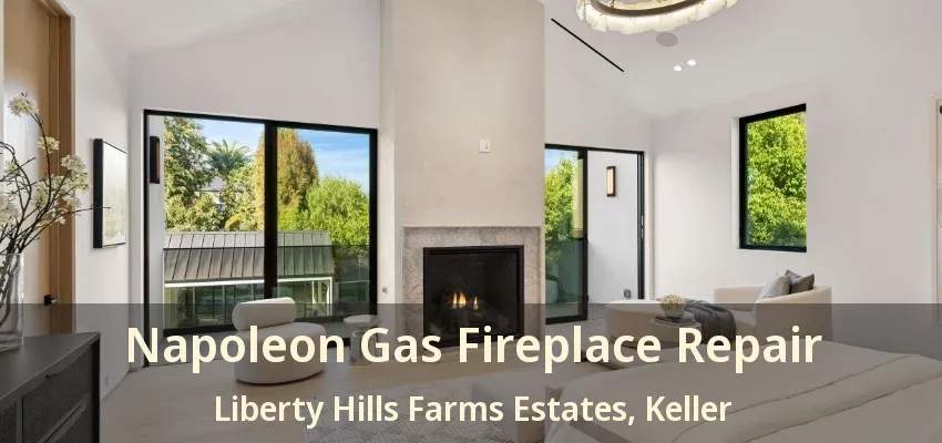 Napoleon Gas Fireplace Repair Liberty Hills Farms Estates, Keller - TX
