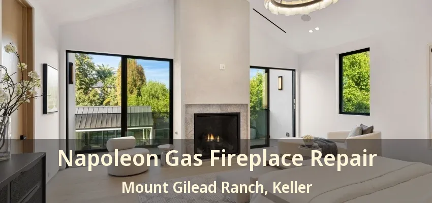 Napoleon Gas Fireplace Repair Mount Gilead Ranch, Keller - TX