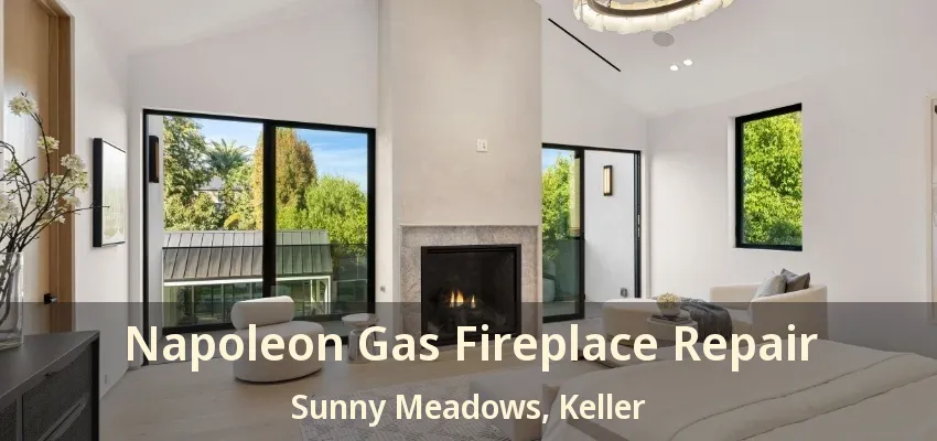 Napoleon Gas Fireplace Repair Sunny Meadows, Keller - TX