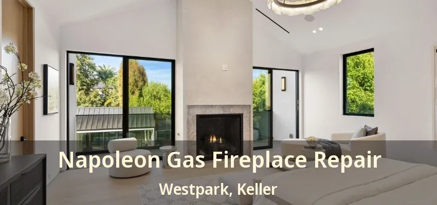 Napoleon Gas Fireplace Repair Westpark, Keller - TX