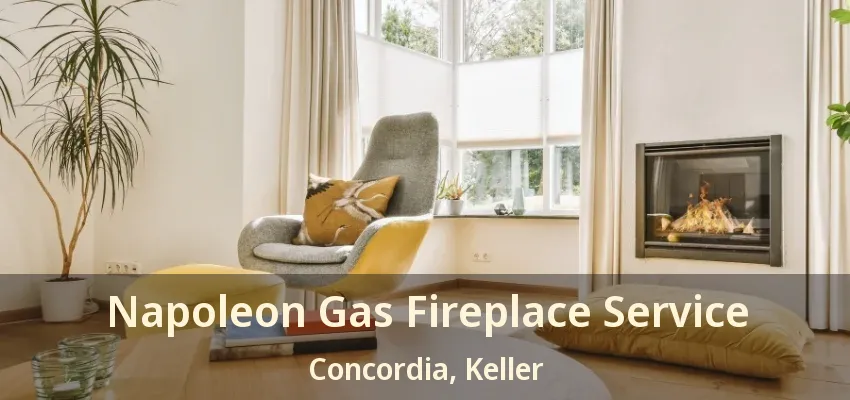 Napoleon Gas Fireplace Service Concordia, Keller - TX