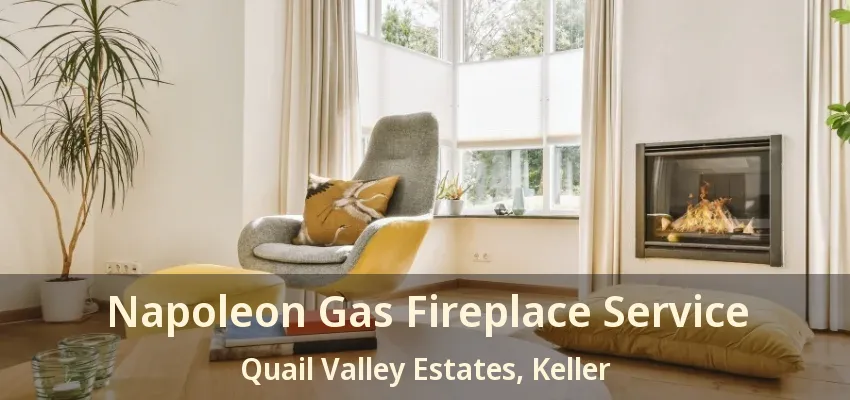 Napoleon Gas Fireplace Service Quail Valley Estates, Keller - TX