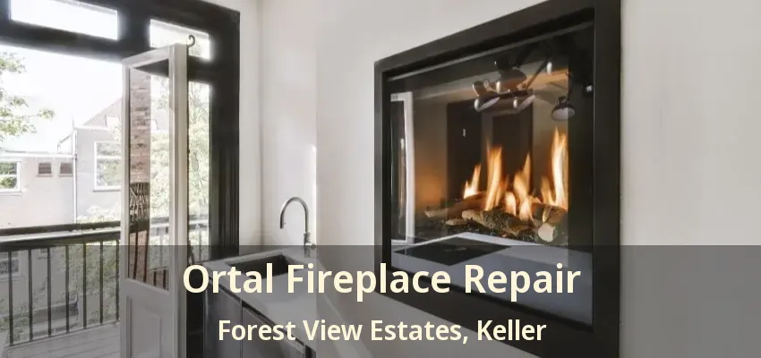 Ortal Fireplace Repair Forest View Estates, Keller - TX