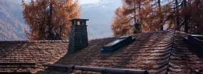 Chimney Animal Removal Keller