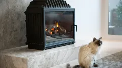 Wood Burning Fireplace Repair Keller
