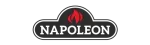 Napoleon Enviro Fireplace Repair in Keller